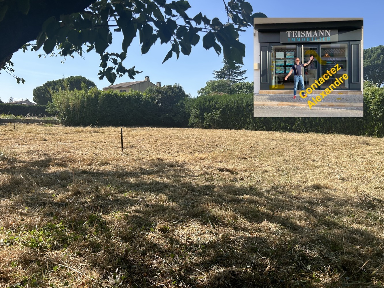 Property view