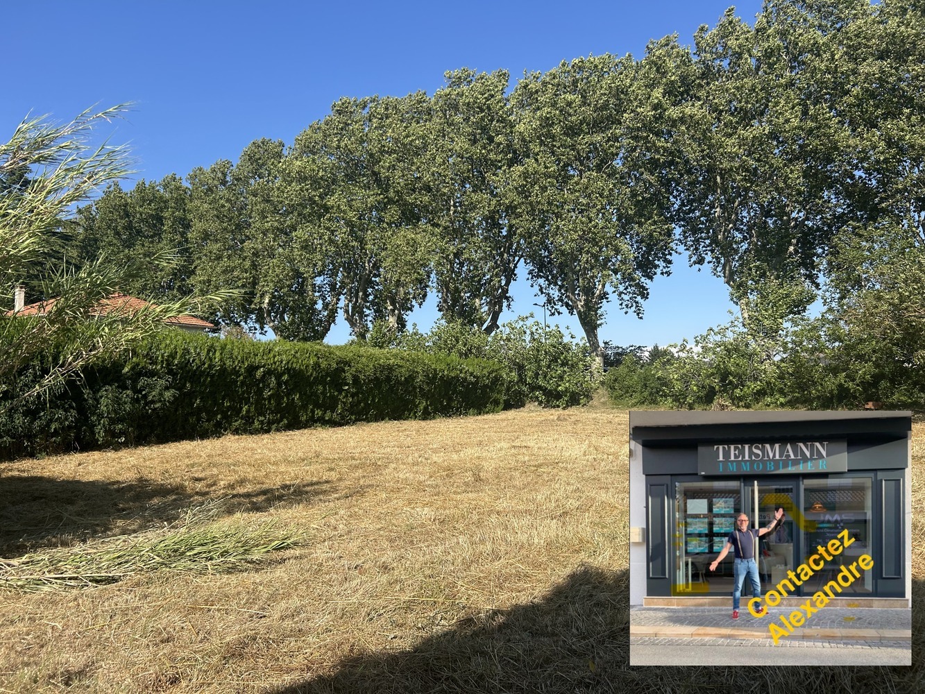 Property view