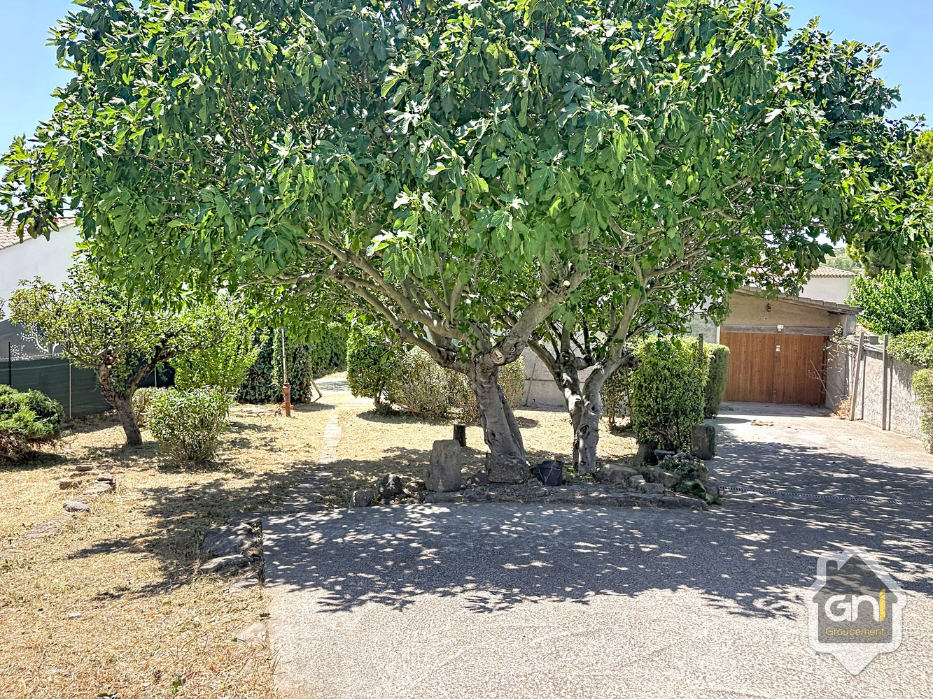 Property view