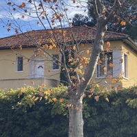 Image du bien en visite référence 81220